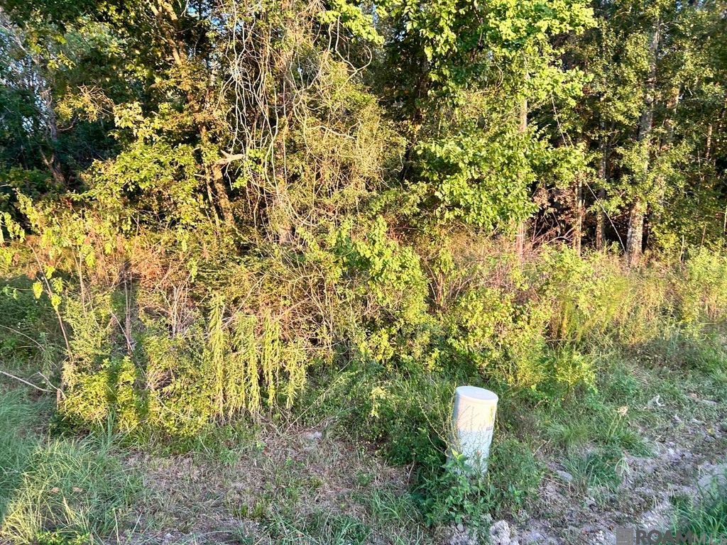 TBA 1-C La Hwy 431, Prairieville, LA 70769