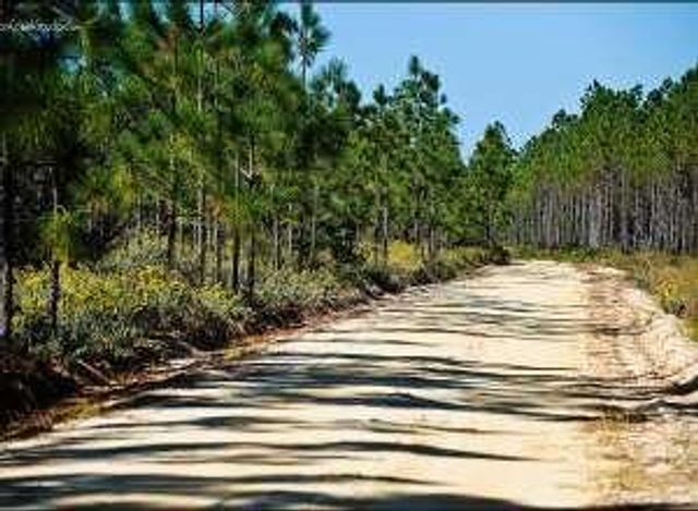 Lot 20 Little Canal Drive, Santa Rosa Beach, FL 32459