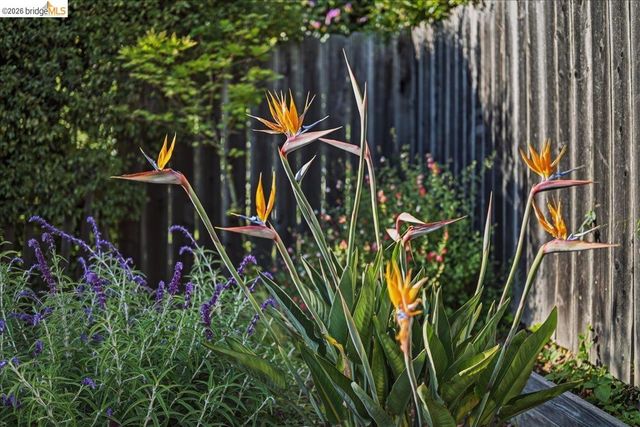 2925 Shasta Rd, Berkeley, CA 94708