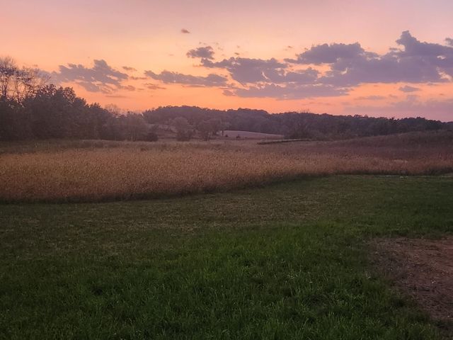 8800 Grace Lane N, Greenfield, MN 55357