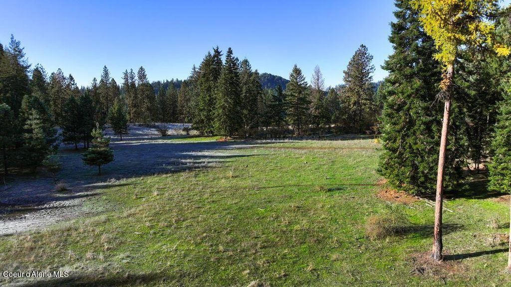 NKA 320acs Summer Rd, Orofino, ID 83544 photo 10