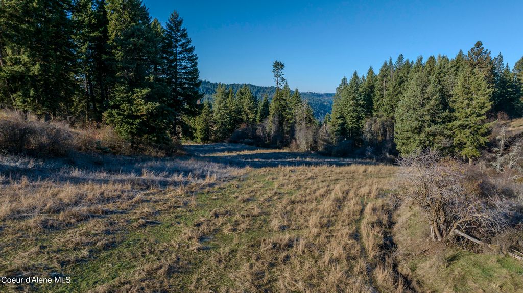 NKA 320acs Summer Rd, Orofino, ID 83544 photo 13