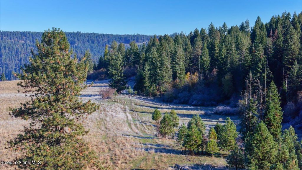 NKA 320acs Summer Rd, Orofino, ID 83544 photo 14