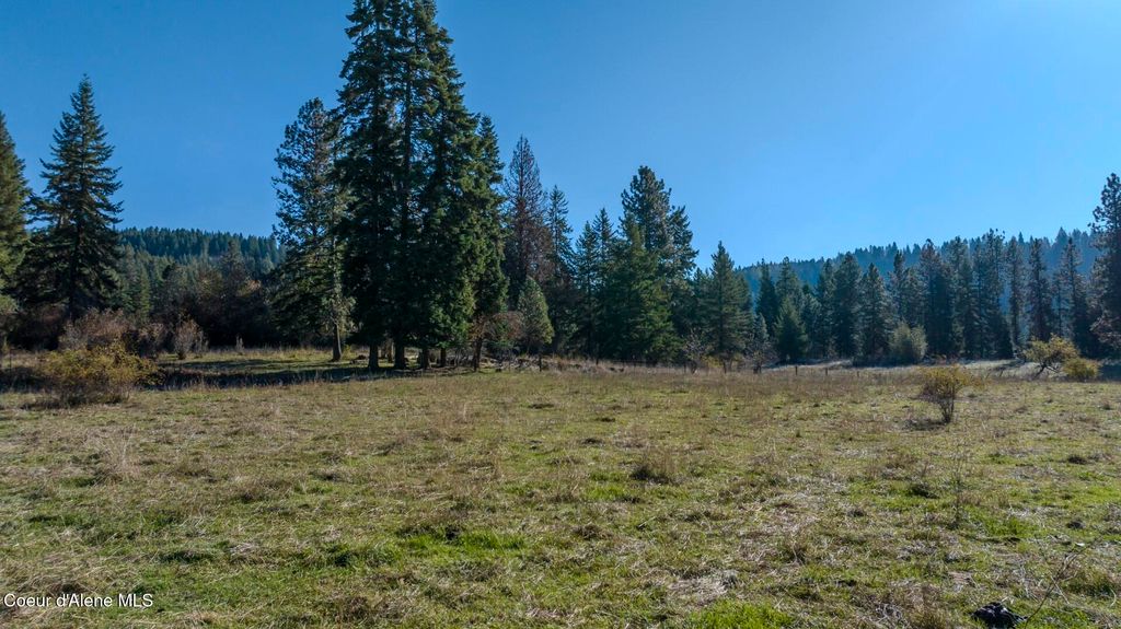 NKA 320acs Summer Rd, Orofino, ID 83544 photo 16