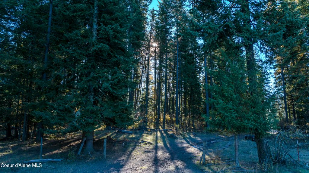 NKA 320acs Summer Rd, Orofino, ID 83544 photo 18