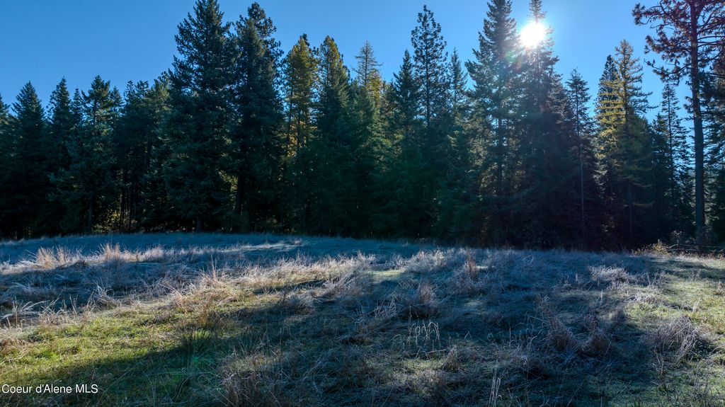 NKA 320acs Summer Rd, Orofino, ID 83544 photo 19