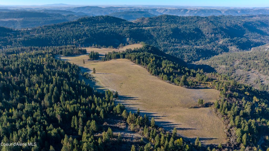 NKA 320acs Summer Rd, Orofino, ID 83544 photo 2
