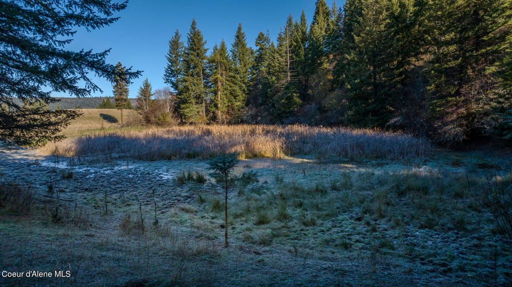 NKA 320acs Summer Rd, Orofino, ID 83544 photo 21