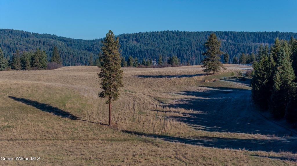 NKA 320acs Summer Rd, Orofino, ID 83544 photo 23