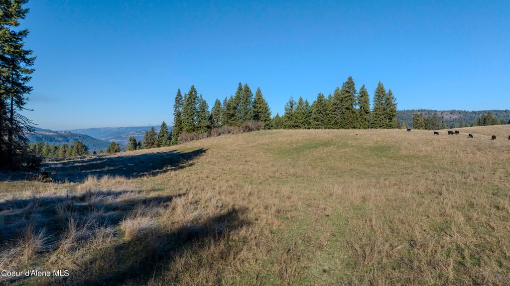 NKA 320acs Summer Rd, Orofino, ID 83544 photo 24