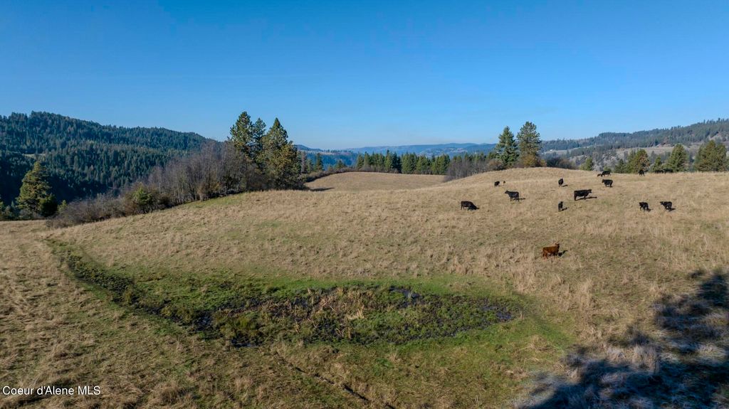 NKA 320acs Summer Rd, Orofino, ID 83544 photo 25