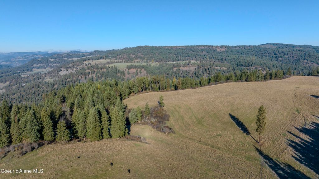 NKA 320acs Summer Rd, Orofino, ID 83544 photo 26