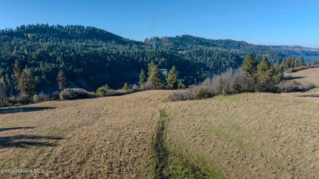 NKA 320acs Summer Rd, Orofino, ID 83544 photo 27