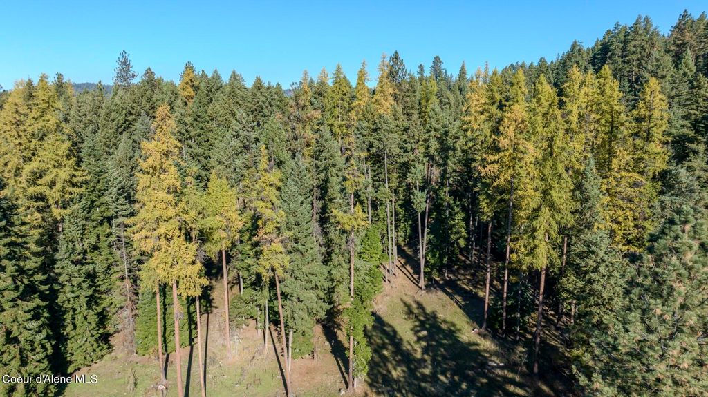 NKA 320acs Summer Rd, Orofino, ID 83544 photo 28