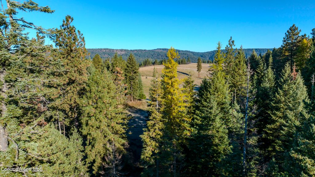 NKA 320acs Summer Rd, Orofino, ID 83544 photo 29