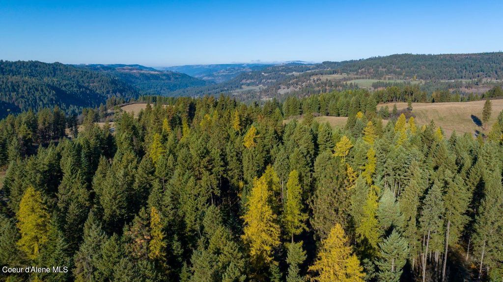 NKA 320acs Summer Rd, Orofino, ID 83544 photo 30