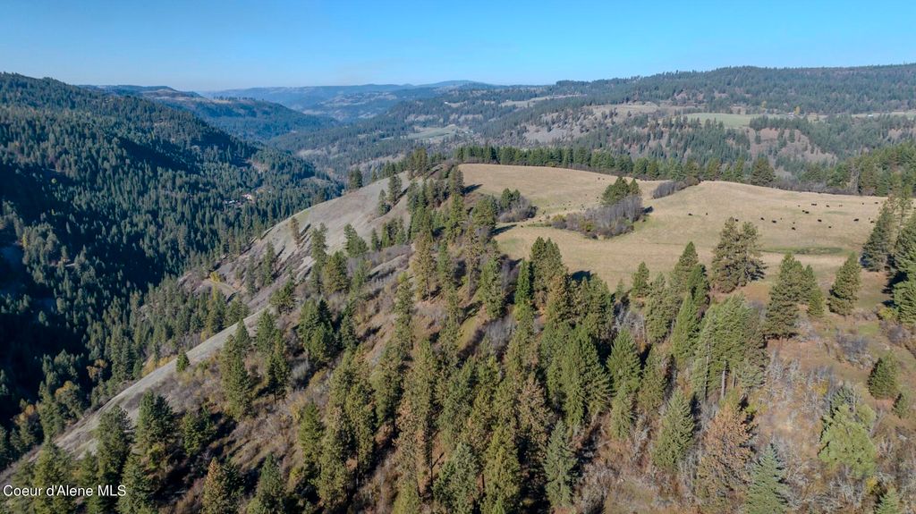 NKA 320acs Summer Rd, Orofino, ID 83544 photo 31