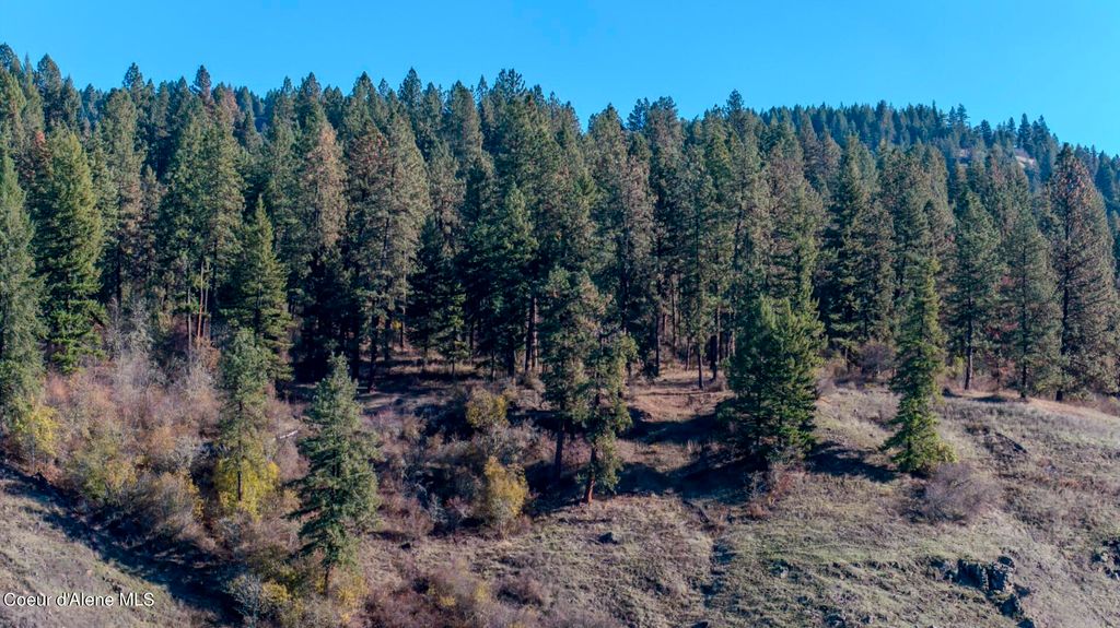 NKA 320acs Summer Rd, Orofino, ID 83544 photo 34