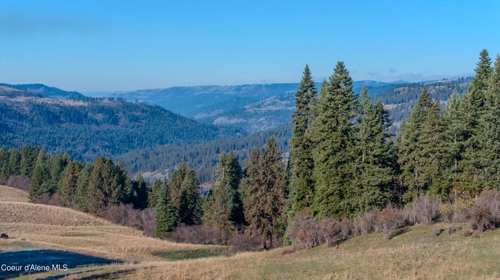 NKA 320acs Summer Rd, Orofino, ID 83544 photo 5