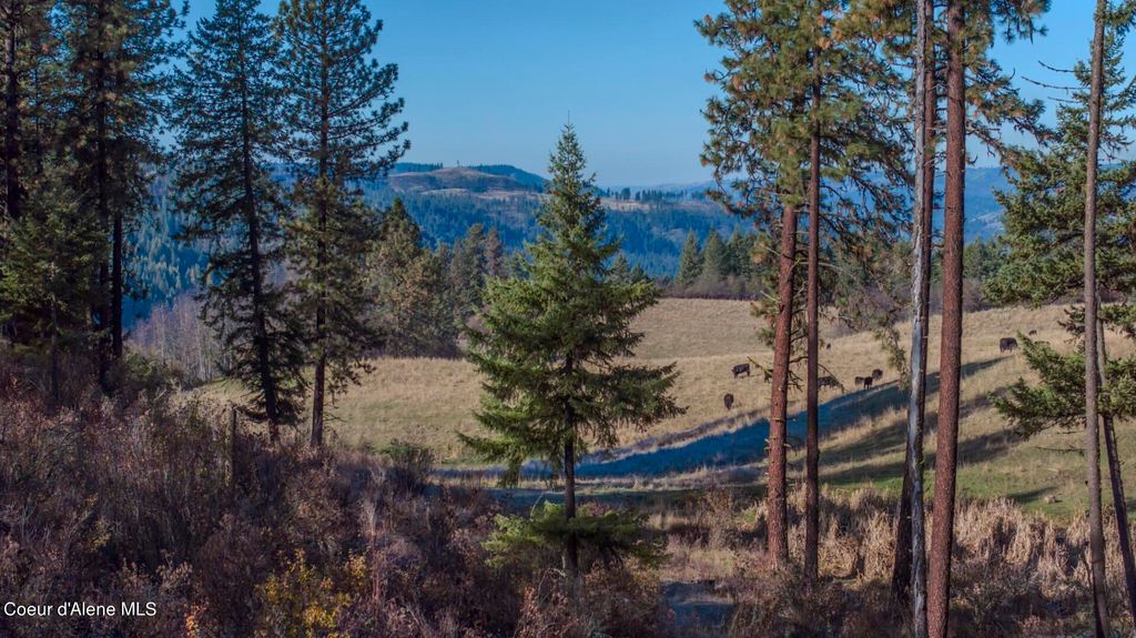 NKA 320acs Summer Rd, Orofino, ID 83544 photo 6