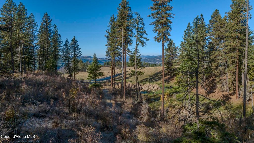 NKA 320acs Summer Rd, Orofino, ID 83544 photo 7