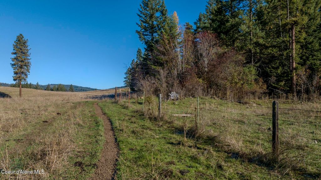 NKA 320acs Summer Rd, Orofino, ID 83544 photo 8