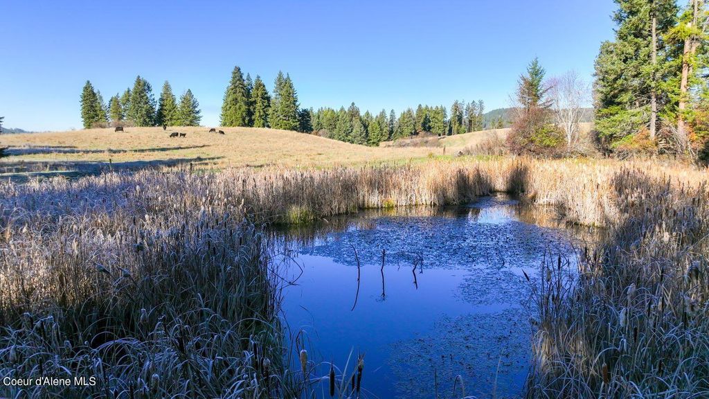 NKA 320acs Summer Rd, Orofino, ID 83544 photo 9
