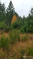 1140 1180 W California Road, Shelton, WA 98584