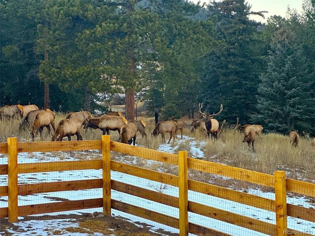 6832 S Valley Drive, Morrison, CO 80465