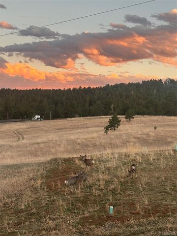 6832 S Valley Drive, Morrison, CO 80465