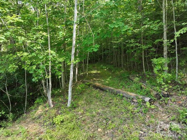 997 Hoot Owl Road, Spruce Pine, NC 28777
