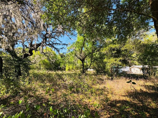 11340 BESSIE DIX ROAD, Seffner, FL 33584