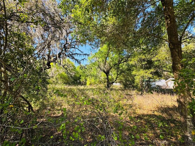 11340 BESSIE DIX ROAD, Seffner, FL 33584