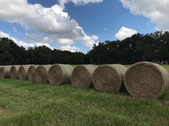 2736 EMPIRE CHURCH ROAD, Groveland, FL 34736