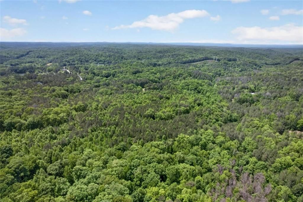 Image 11 of property listing at 665 Tibbitts Road, Dallas, GA 30132