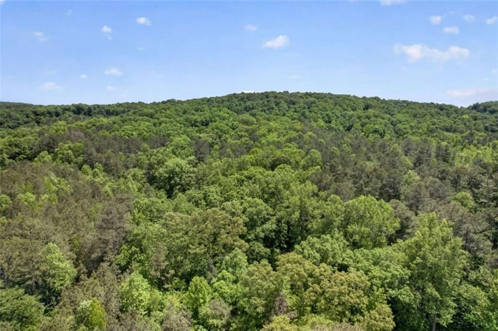 Image 9 of property listing at 665 Tibbitts Road, Dallas, GA 30132