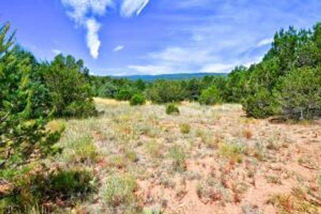 12141 Nm-14, Cedar Crest, NM 87008