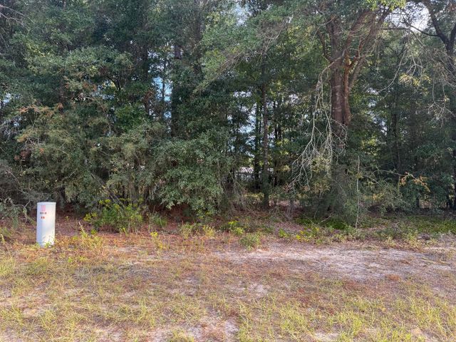 TBD Highway 90, Defuniak Springs, FL 32433