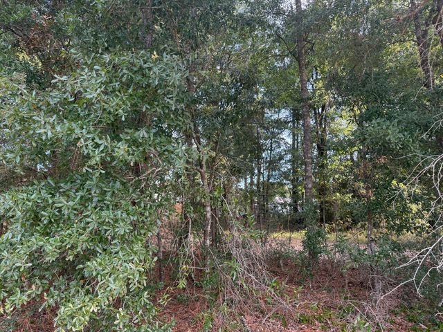 TBD Highway 90, Defuniak Springs, FL 32433