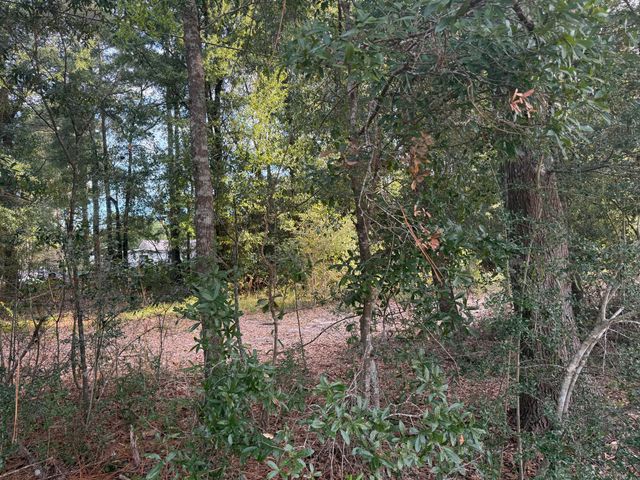 TBD Highway 90, Defuniak Springs, FL 32433