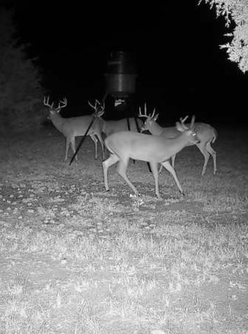 151 Latigo Lane, Greenbrier, AR 72058