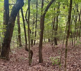 0 Creekview Drive, Ellijay, GA 30356