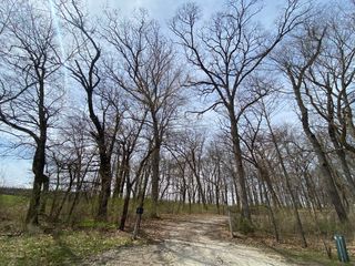 Lot 4, S. Knoll Road, Rochelle, IL 61068