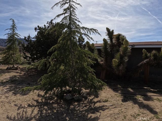 30000 Buchannon Ranch Road, Llano, CA 93544