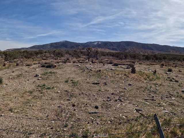 30000 Buchannon Ranch Road, Llano, CA 93544