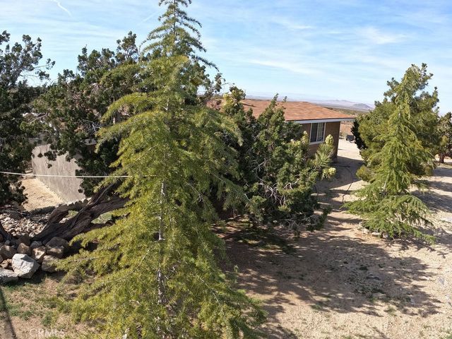 30000 Buchannon Ranch Road, Llano, CA 93544