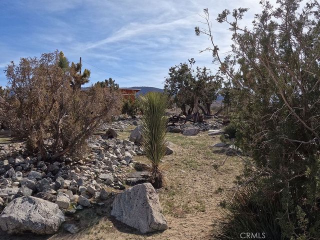 30000 Buchannon Ranch Road, Llano, CA 93544