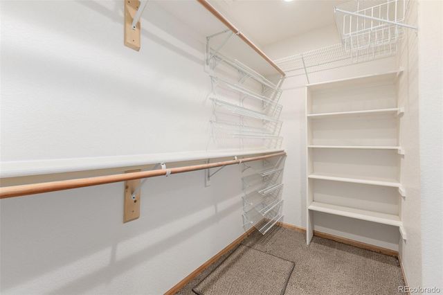 8825 Fairview Oaks Place, Lone Tree, CO 80124