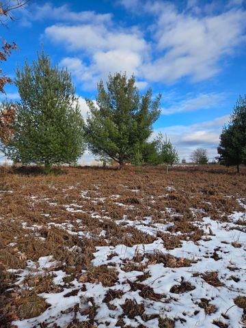 Lot 895 Lake Miramichi Drive, Evart, MI 49631