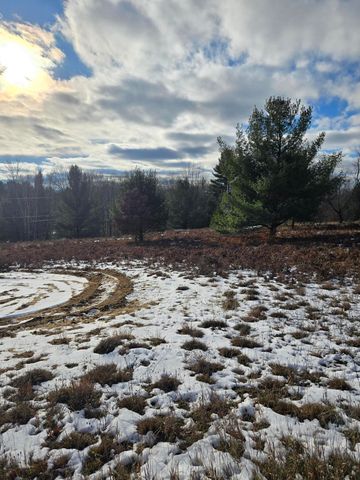 Lot 895 Lake Miramichi Drive, Evart, MI 49631